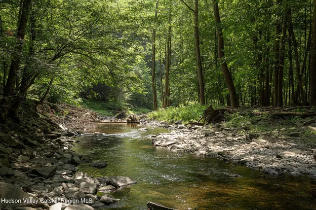 a plant view in yard