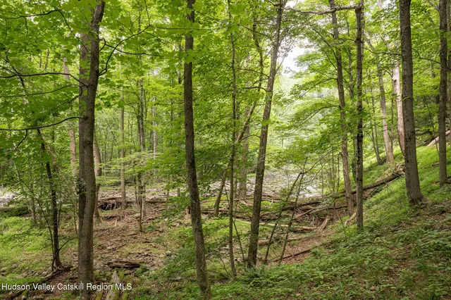 a view of a yard with trees