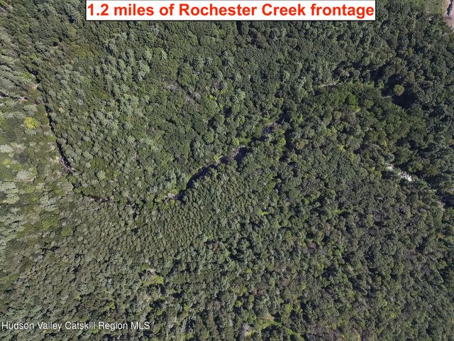 a view of water covered with trees