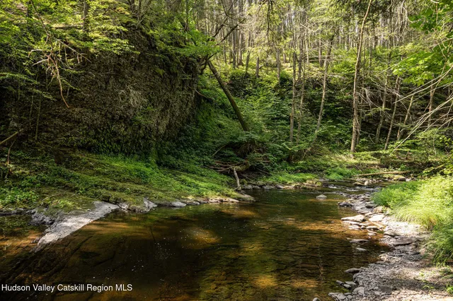 a view of a lake with a yard