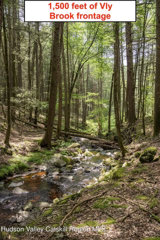 a view of a big yard with lots of bushes