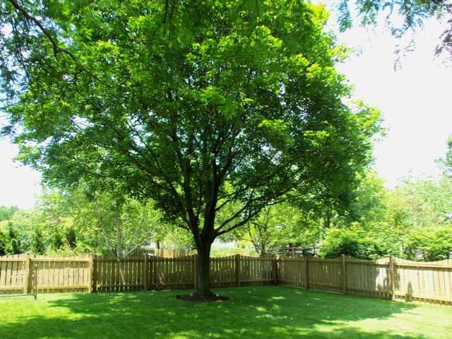 2110 Stancrest Road Dublin, OH 43016 - Photo 17 of 18 Gallery Image 17