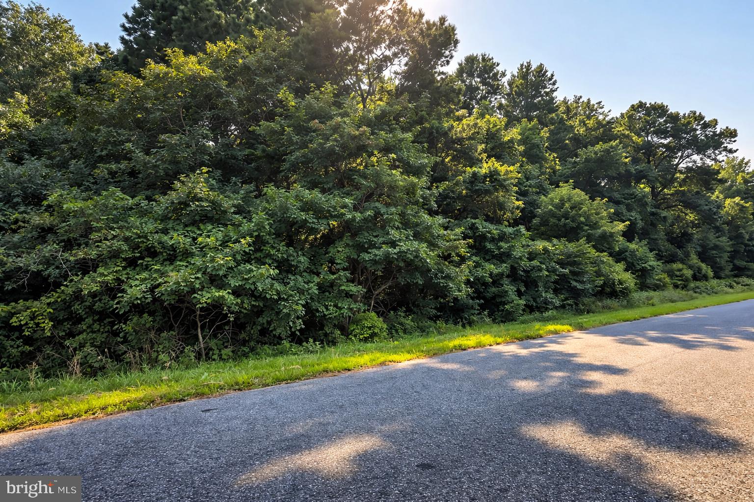 Lot A Salisbury Road Ocean City, MD 21842 - Photo 4 of 4