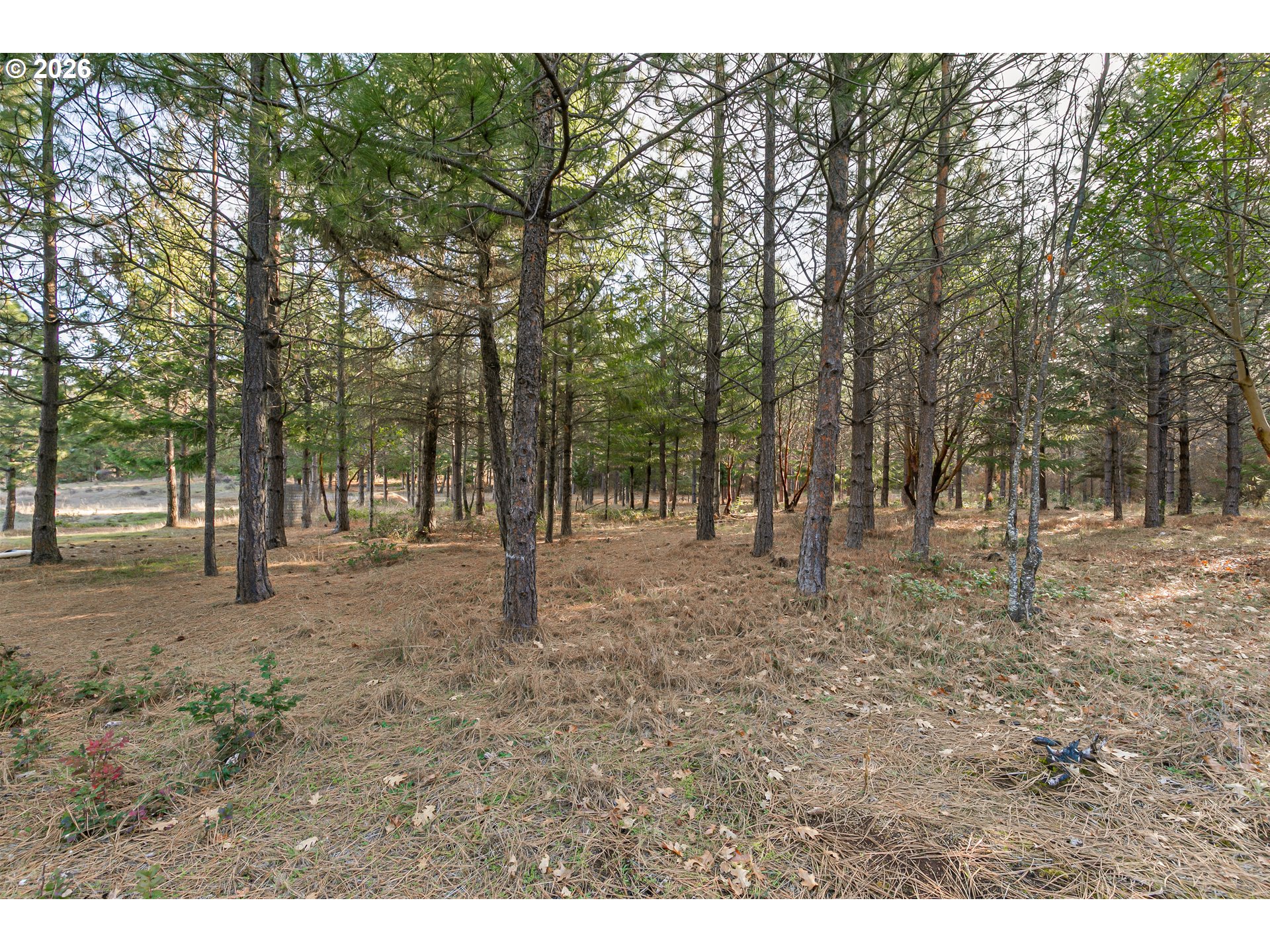 32916 Highway 62 Trail, OR 97541 - Photo 4 of 38