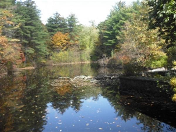 43 Country Club Road Greenfield, MA 01301 - Photo 29 of 30 Gallery Image 29