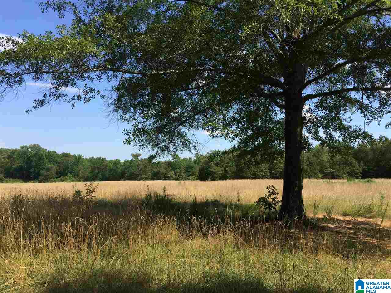 3134 Pine Mountain Road Remlap, AL 35133 - Photo 20 of 44 Gallery Image 20