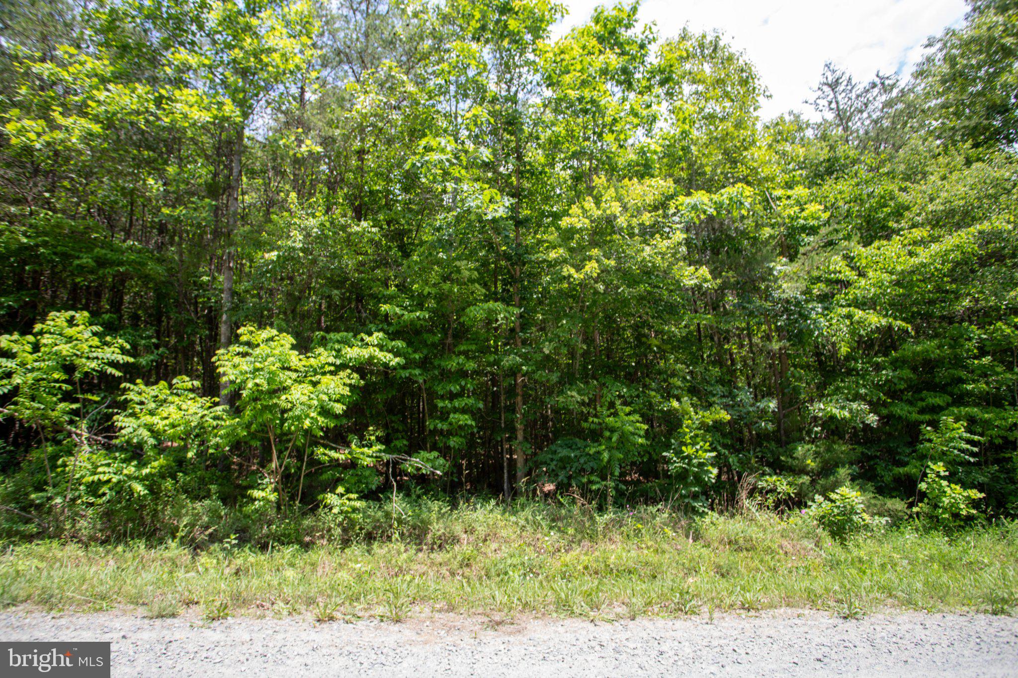Tbd Brandon Road, Unit 4 Chatham, VA 24531 - Photo 7 of 31 Gallery Image 7