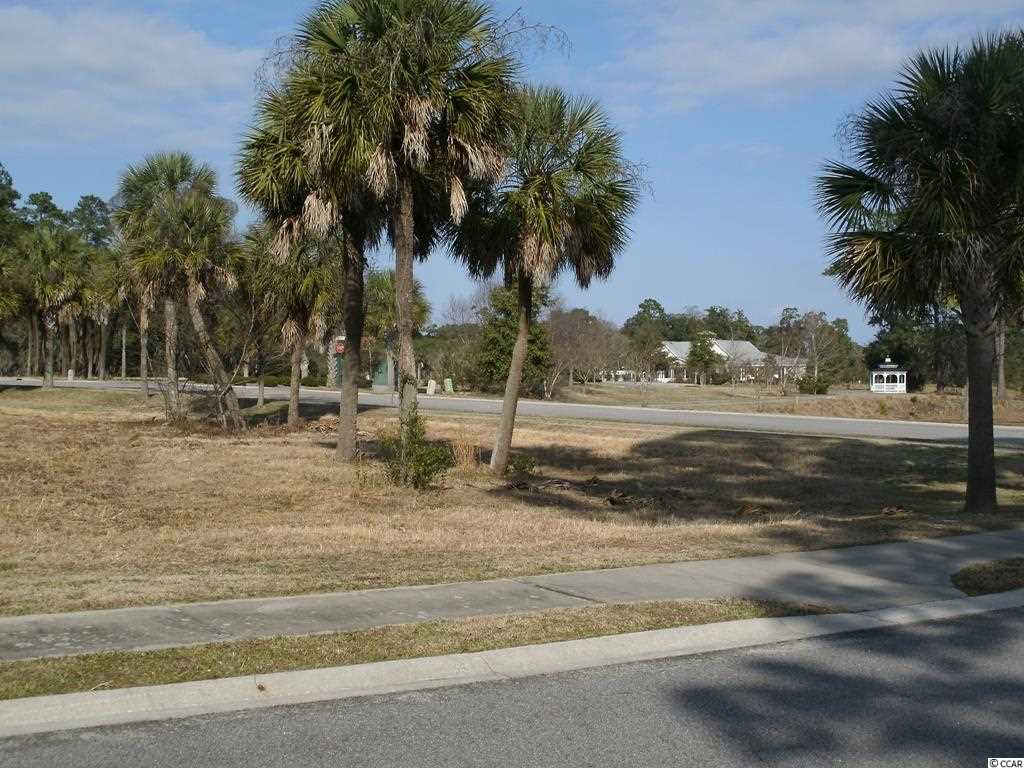 Lot 187 Commanders Island Road Georgetown, SC 29440 - Photo 1 of 24 Gallery Image 1