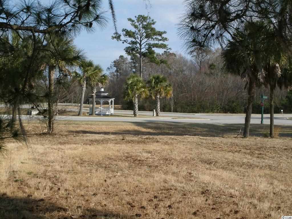 Lot 187 Commanders Island Road Georgetown, SC 29440 - Photo 6 of 24 Gallery Image 6