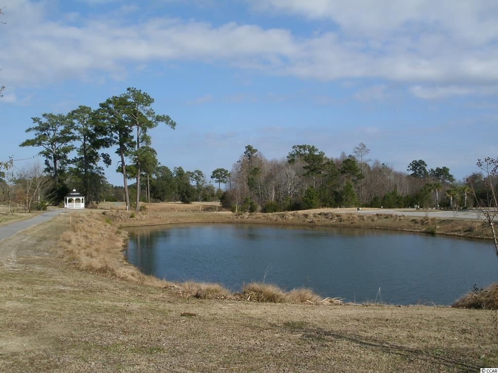 Lot 187 Commanders Island Road Georgetown, SC 29440 - Photo 7 of 24 Gallery Image 7
