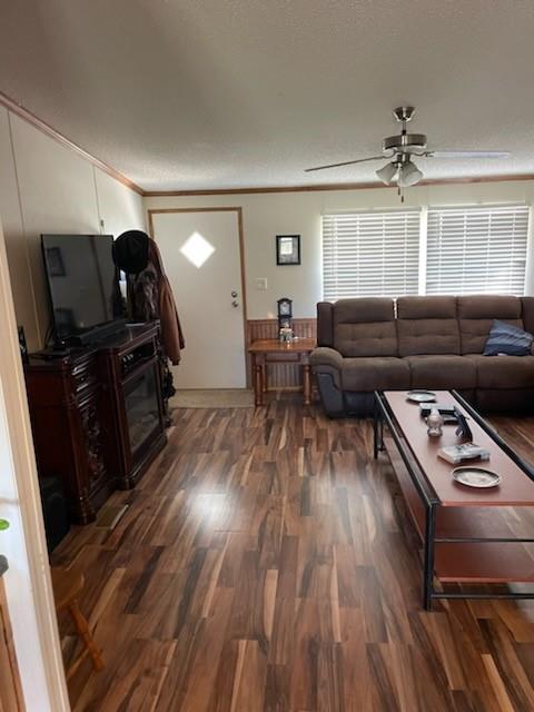 1001 Elizabeth Coleman, TX 76834 - Photo 11 of 32 a living room with furniture and wooden floor