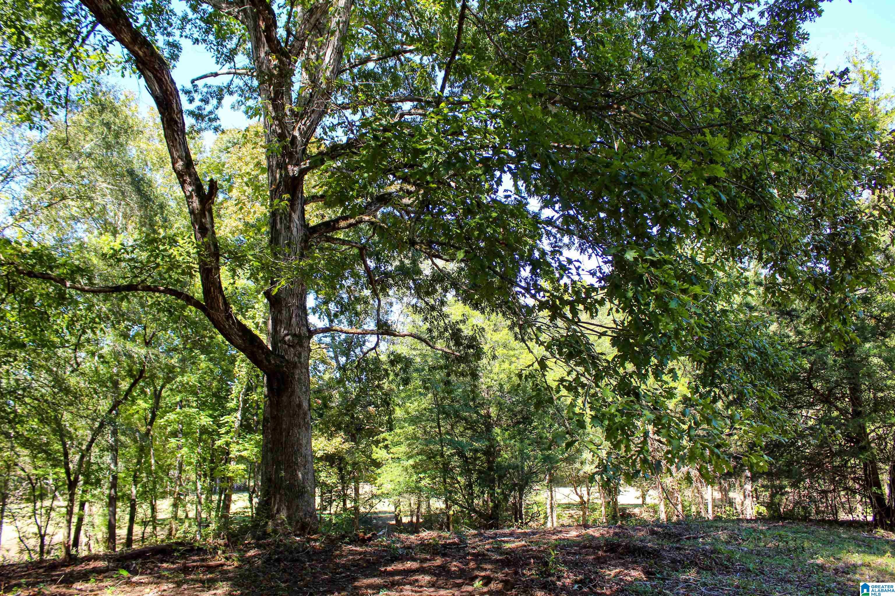 1 Sawyers Cove Road Calera, AL 35040 - Photo 52 of 62 Gallery Image 52