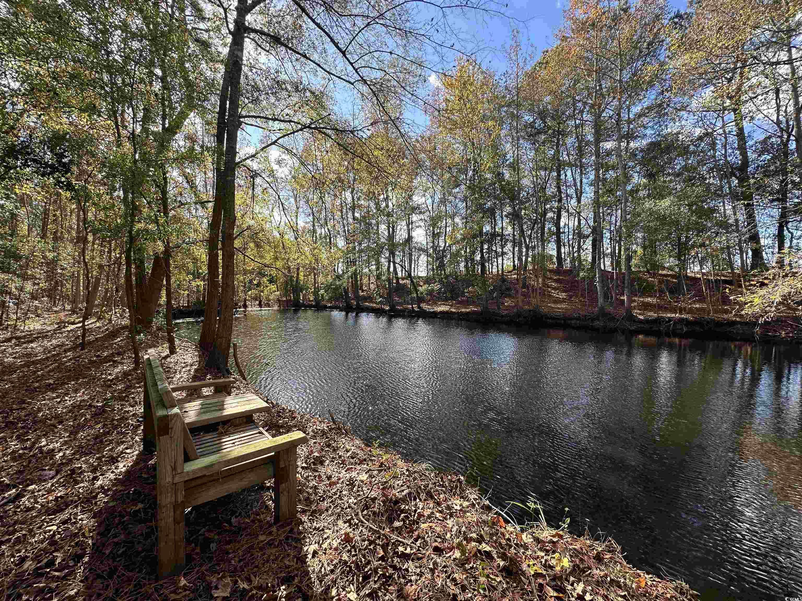 Tbd Terry Road Andrews, SC 29510 - Photo 4 of 21