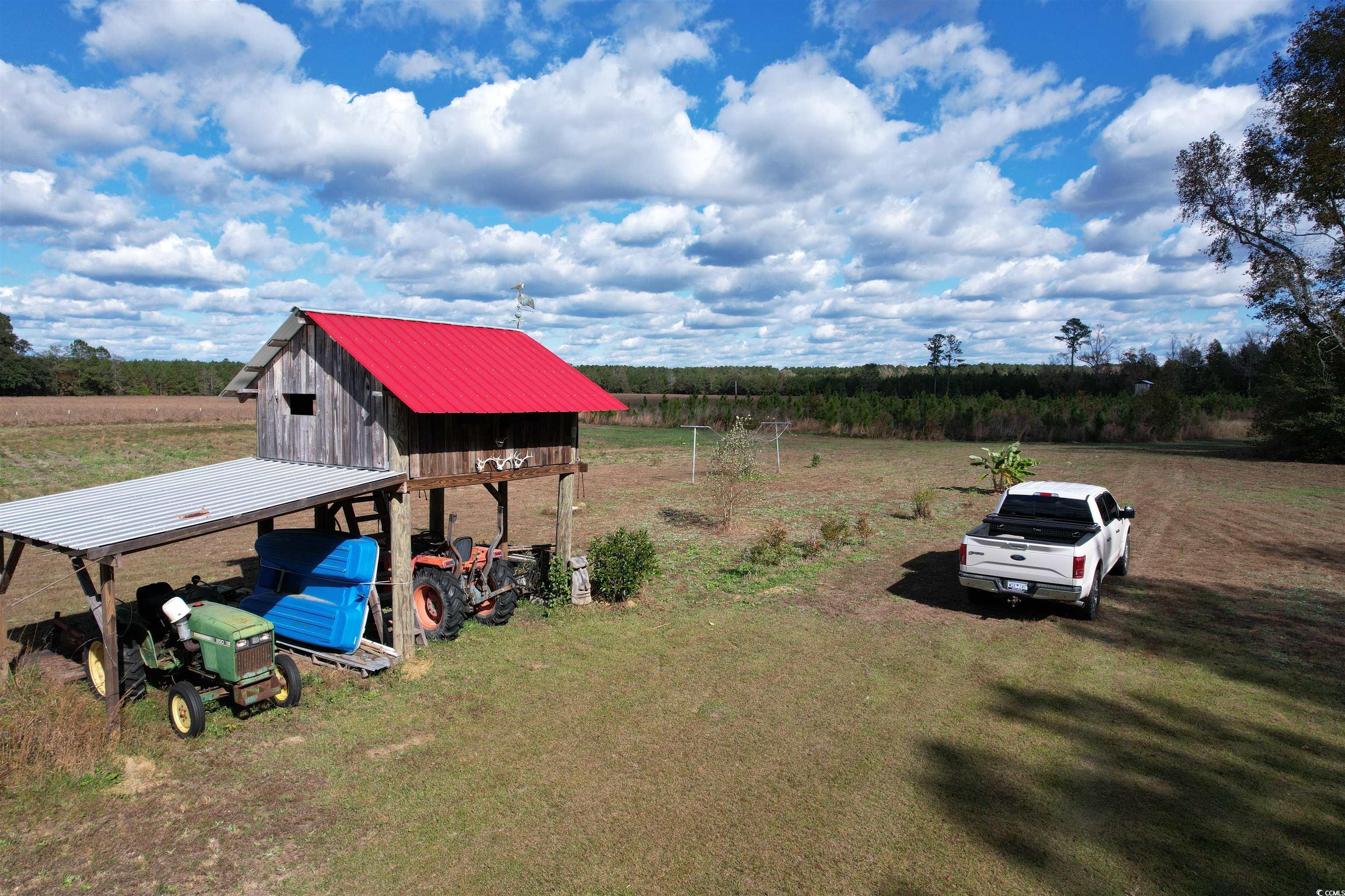 Tbd Terry Road Andrews, SC 29510 - Photo 9 of 21