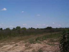 8 Airport Road Morse, LA 70559 - Photo 1 of 1 Primary Photo
