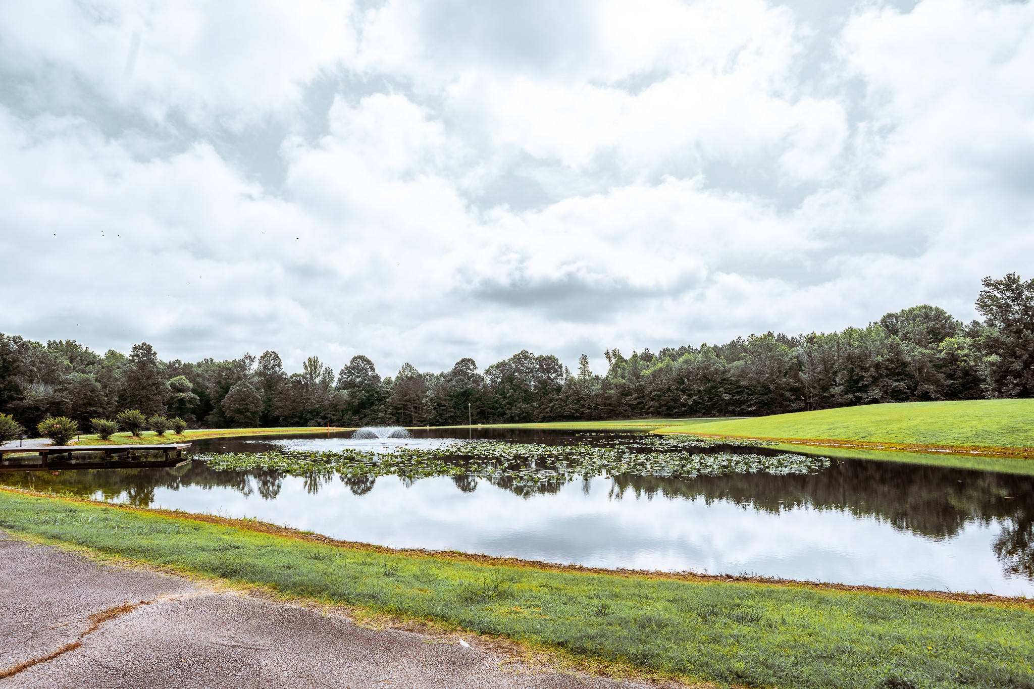 3375 Rowland Mill Road Buena Vista, TN 38318 - Photo 17 of 85 a view of a lake with a big yard