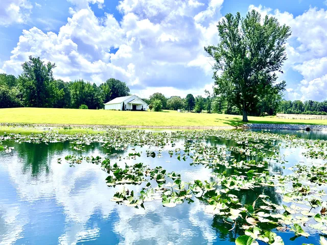 $2,650,000 | 3375 Rowland Mill Road, Buena Vista, TN 38318