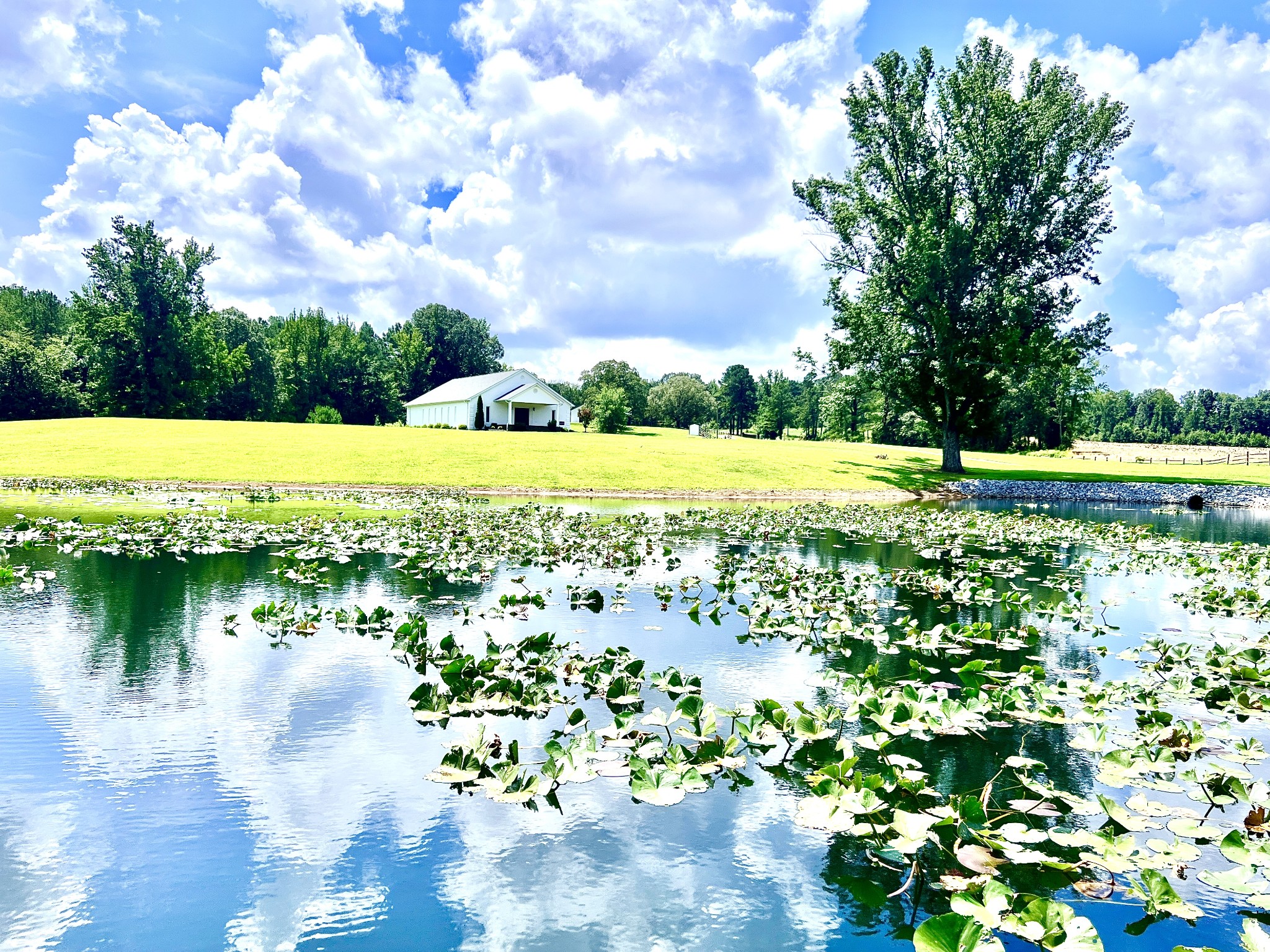 3375 Rowland Mill Road Buena Vista, TN 38318 - Photo 70 of 85 a view of a lake with a big yard