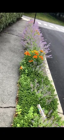 $1,595,000 | 1083 Walnut Street, Newton, MA 02461