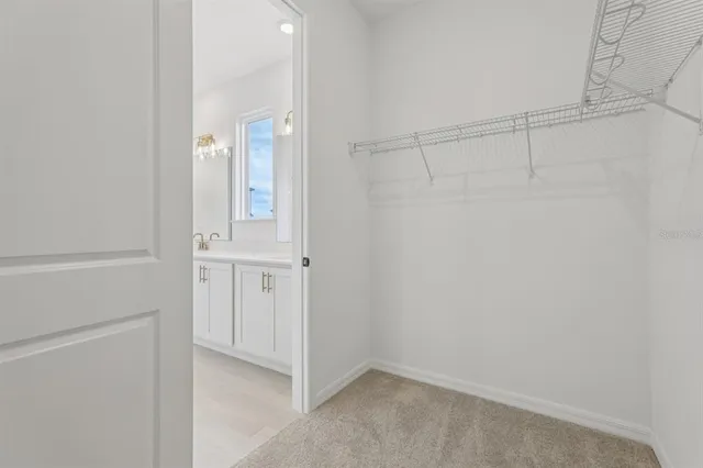 a view of backyard of house