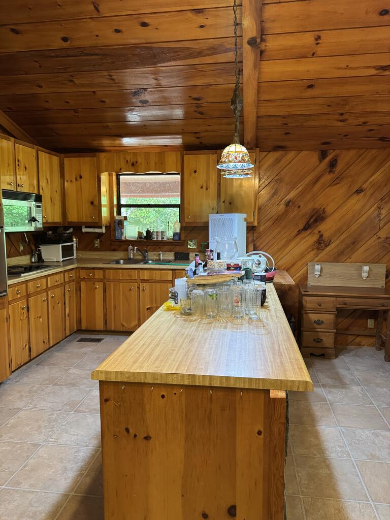 493 Harper Valley Road Mineral Bluff, GA 30559 - Photo 13 of 23 Gallery Image 13