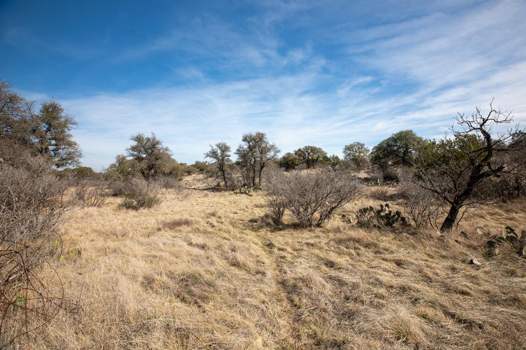 2 Salt Branch Loop, Unit 2 Doss, TX 78618 - Photo 1 of 6 Main View