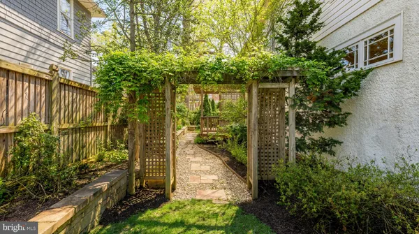 a view of a yard with plants and large trees