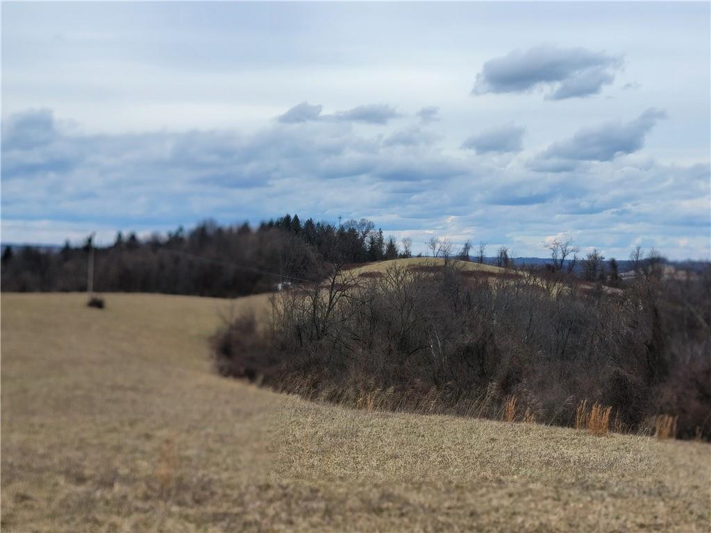 0 Beham Ridge Road West Alexander, PA 15376 - Photo 12 of 44 Gallery Image 12