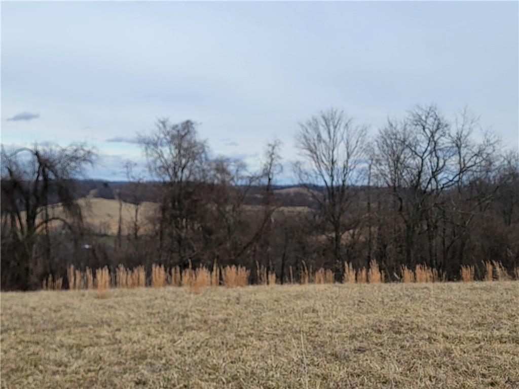 0 Beham Ridge Road West Alexander, PA 15376 - Photo 18 of 44 Gallery Image 18