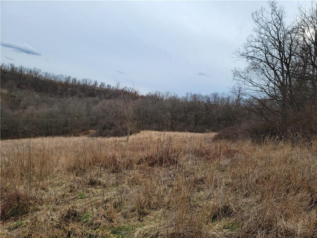 0 Beham Ridge Road West Alexander, PA 15376 - Photo 22 of 44 Gallery Image 22