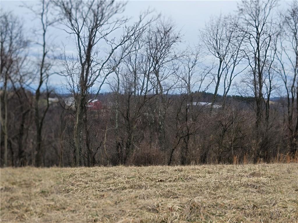 0 Beham Ridge Road West Alexander, PA 15376 - Photo 5 of 44 Gallery Image 5