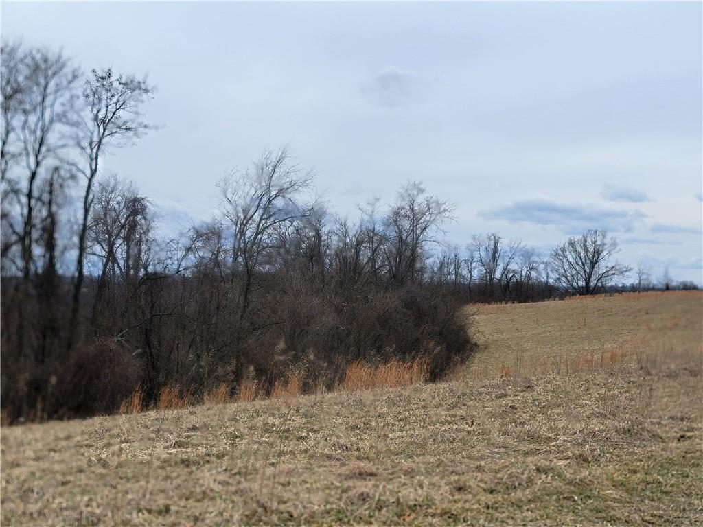 0 Beham Ridge Road West Alexander, PA 15376 - Photo 6 of 44 Gallery Image 6