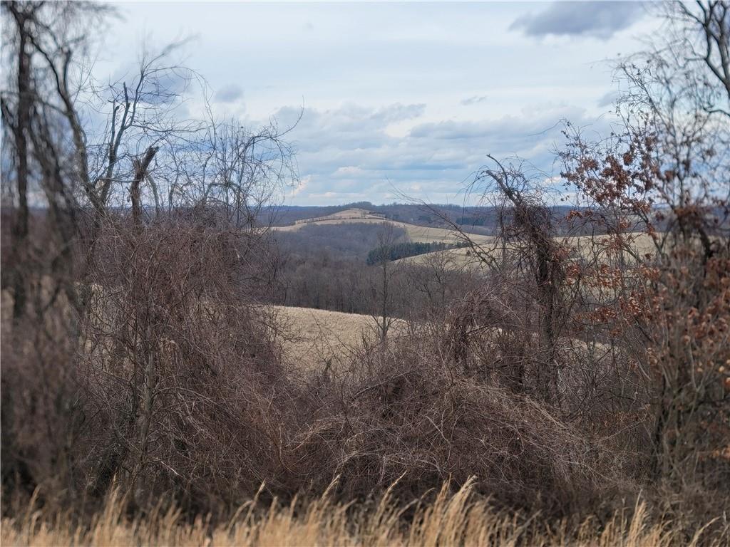 0 Beham Ridge Road West Alexander, PA 15376 - Photo 9 of 44 Gallery Image 9