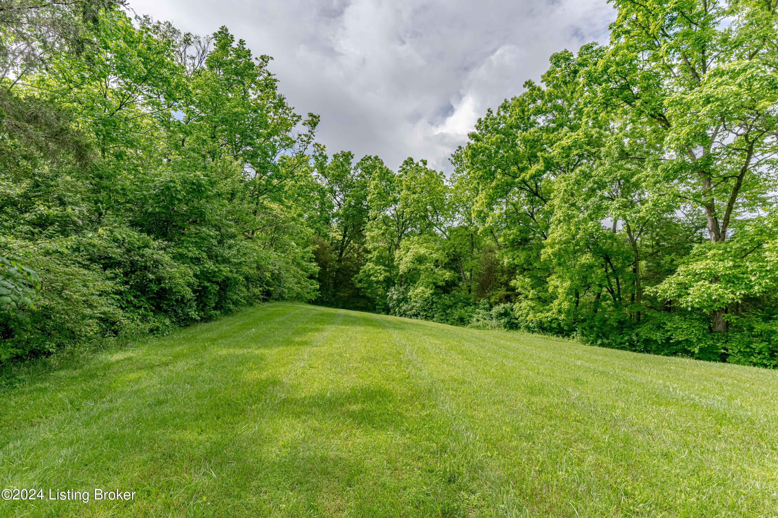 988 Radcliff Road Smithfield, KY 40068 - Photo 6 of 46 DSC09693