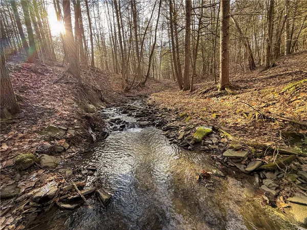 $129,900 | Briggs Hill Road, Van Etten, NY 14889