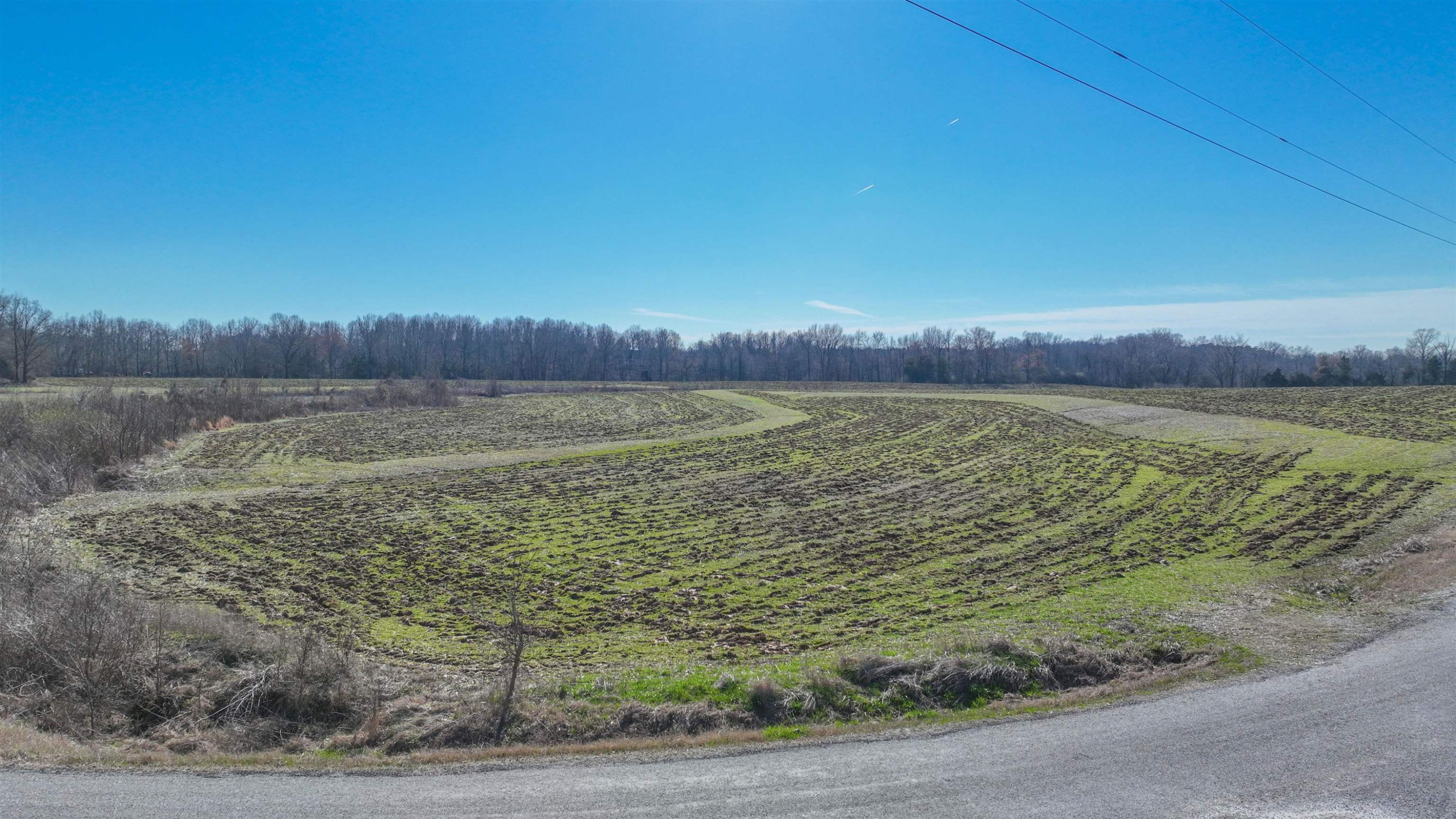 0 Joe Sanderlin Road Stanton, TN 38069 - Photo 5 of 7 a view of a lake and a field