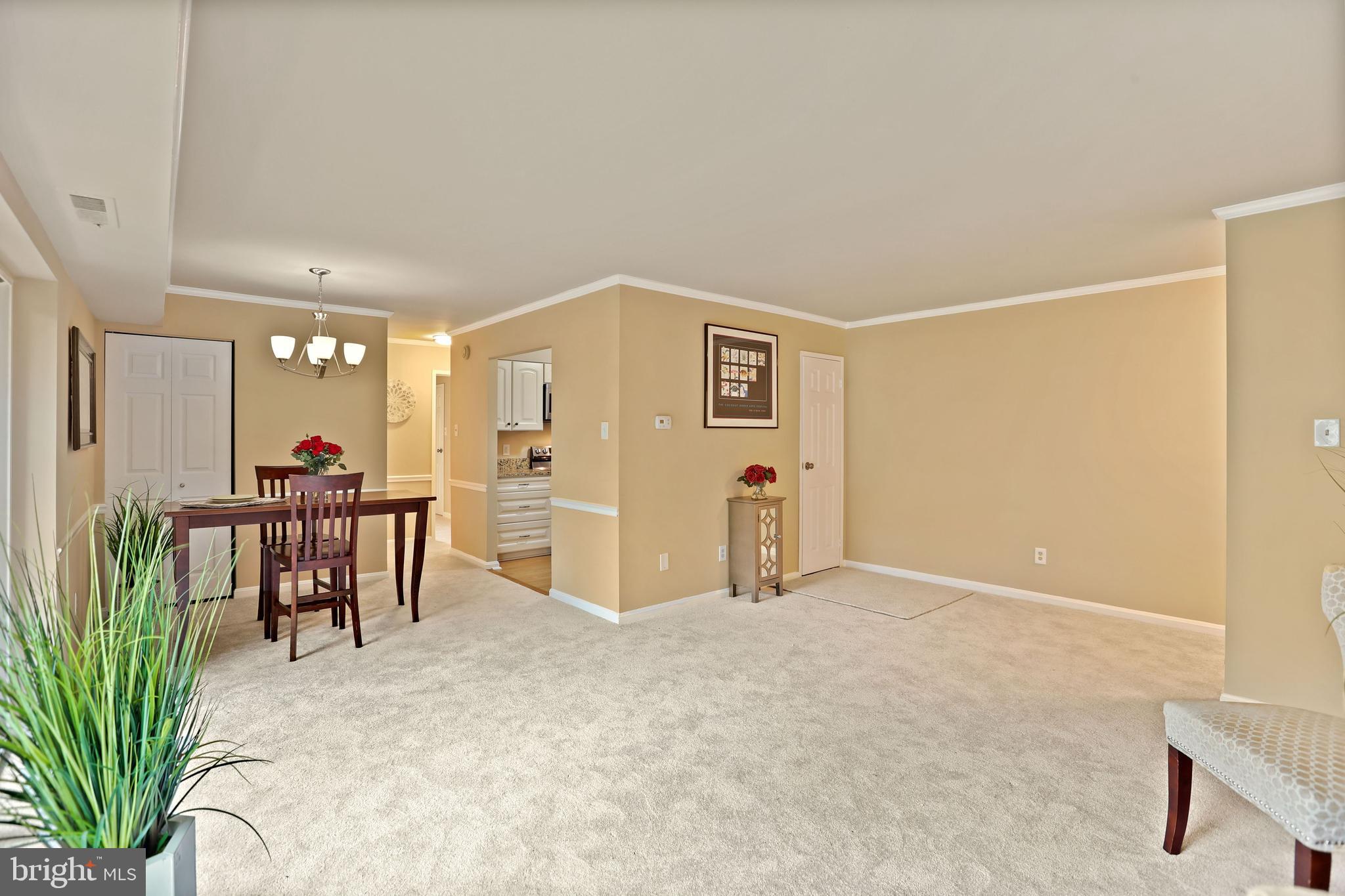 6141 Edsall Road, Unit D Alexandria, VA 22304 - Photo 8 of 25
