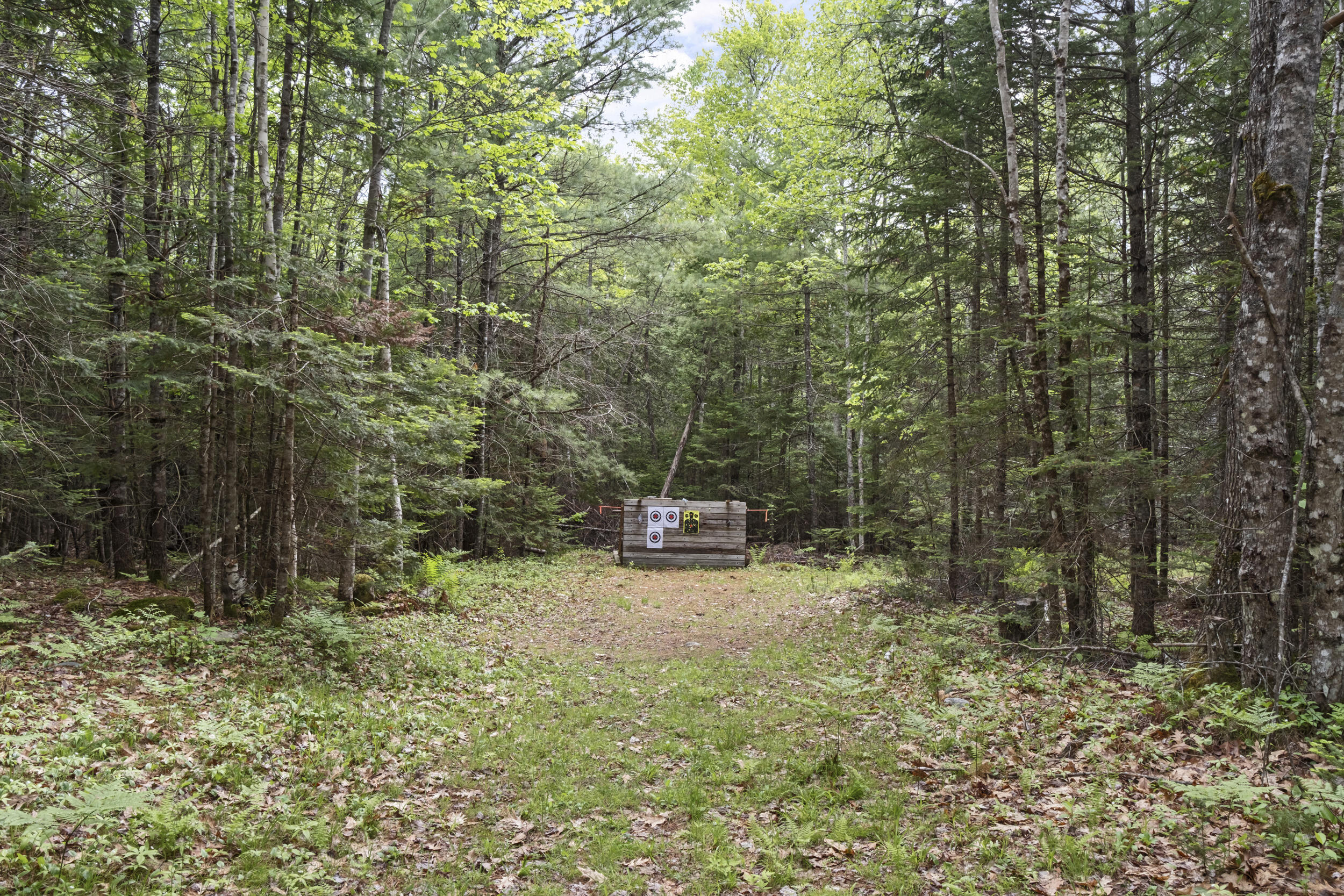 363 South Ridge Road Palmyra, ME 04965 - Photo 26 of 35 363_s_ridge_rd_exterior-7