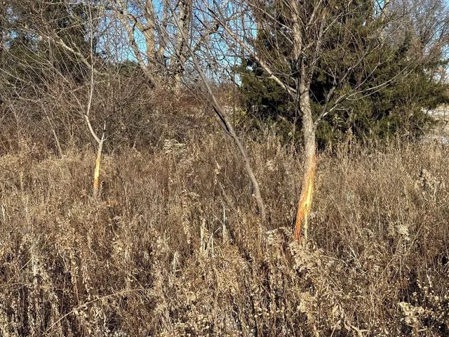 $532,000 | Tbd Tbd Highway, Gallatin, MO 64640