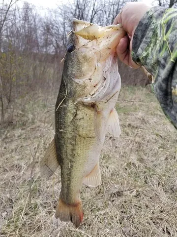 $532,000 | Tbd Tbd Highway, Gallatin, MO 64640