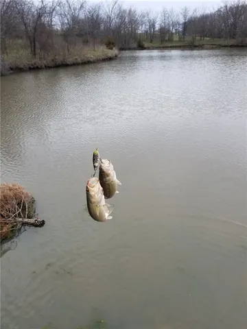 $532,000 | Tbd Tbd Highway, Gallatin, MO 64640