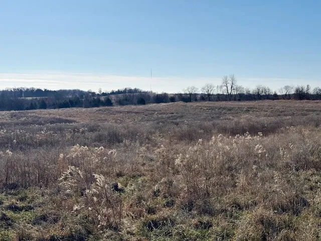 $532,000 | Tbd Tbd Highway, Gallatin, MO 64640