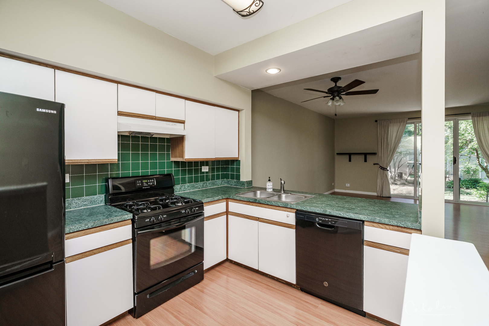201 Northlight Passe, Unit 201 Lake In The Hills, IL 60156 - Photo 5 of 25
