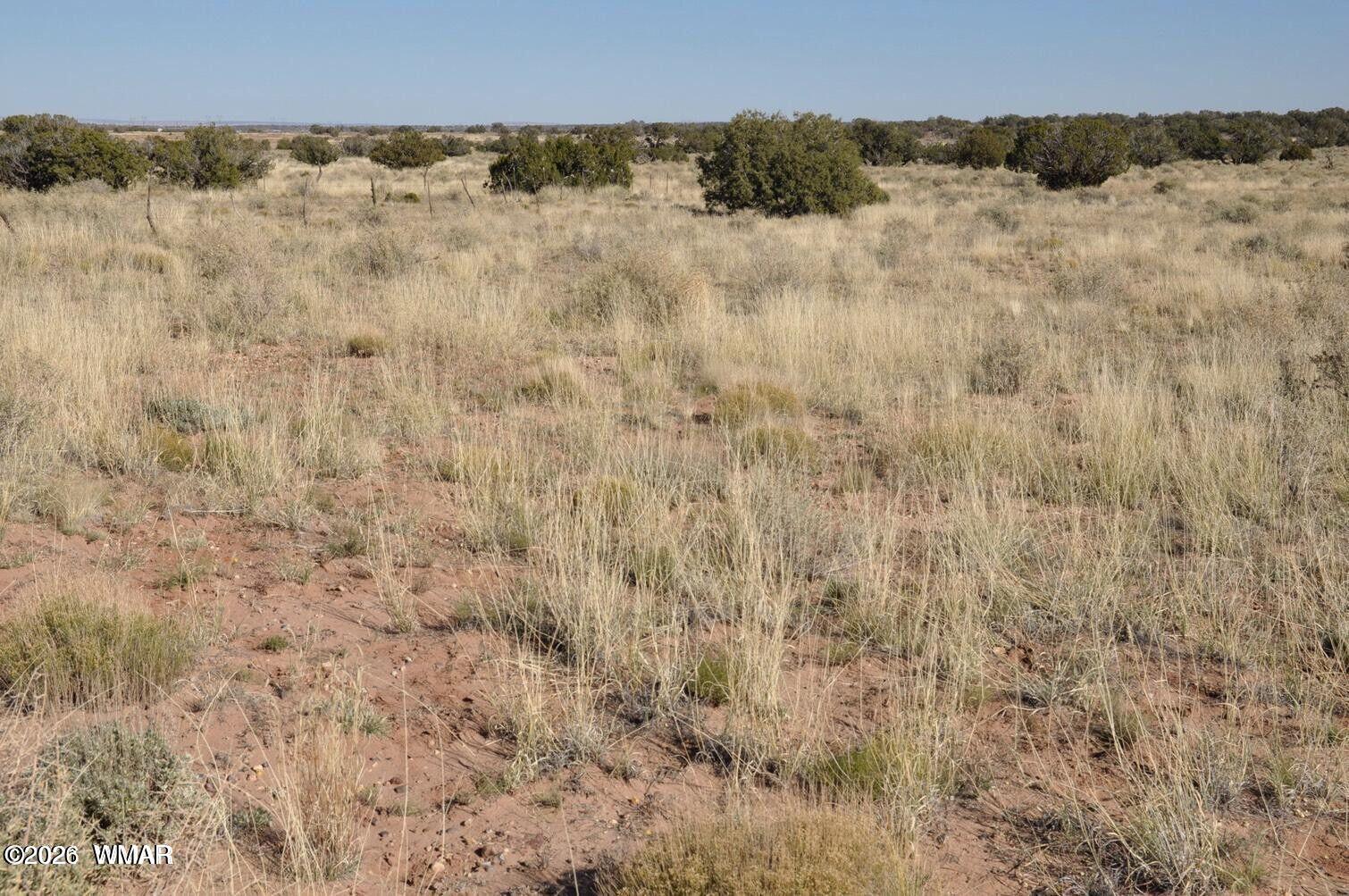 5039 Pima Road Snowflake, AZ 85937 - Photo 18 of 21 a view of a dry yard