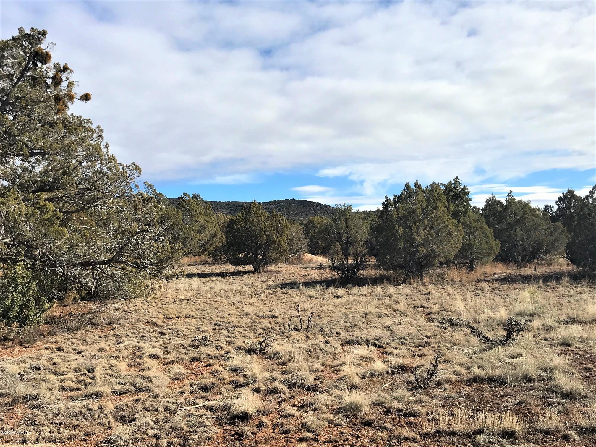 5354 North Forest Line Road Williams, AZ 86046 - Photo 7 of 11 IMG_8982