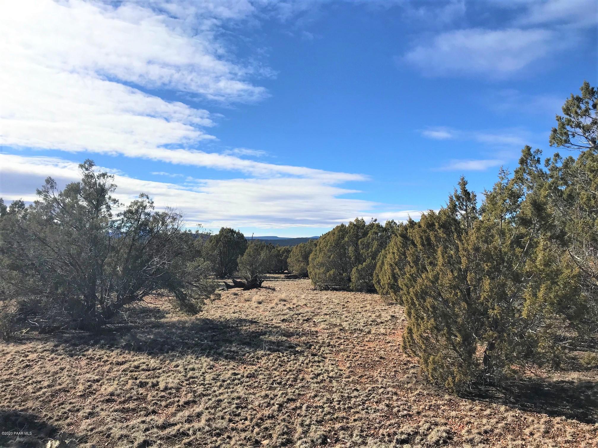 5354 North Forest Line Road Williams, AZ 86046 - Photo 8 of 11 IMG_8983