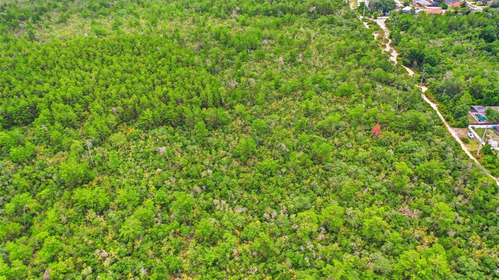Wolverine (paper) Avenue Deltona, FL 32725 - Photo 13 of 24