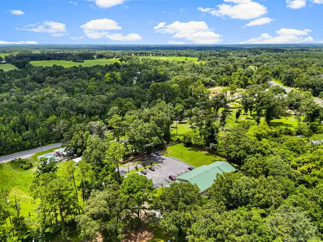 view of a city with lush green forest