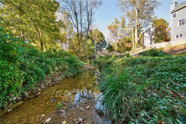 a view of a yard with plants and trees
