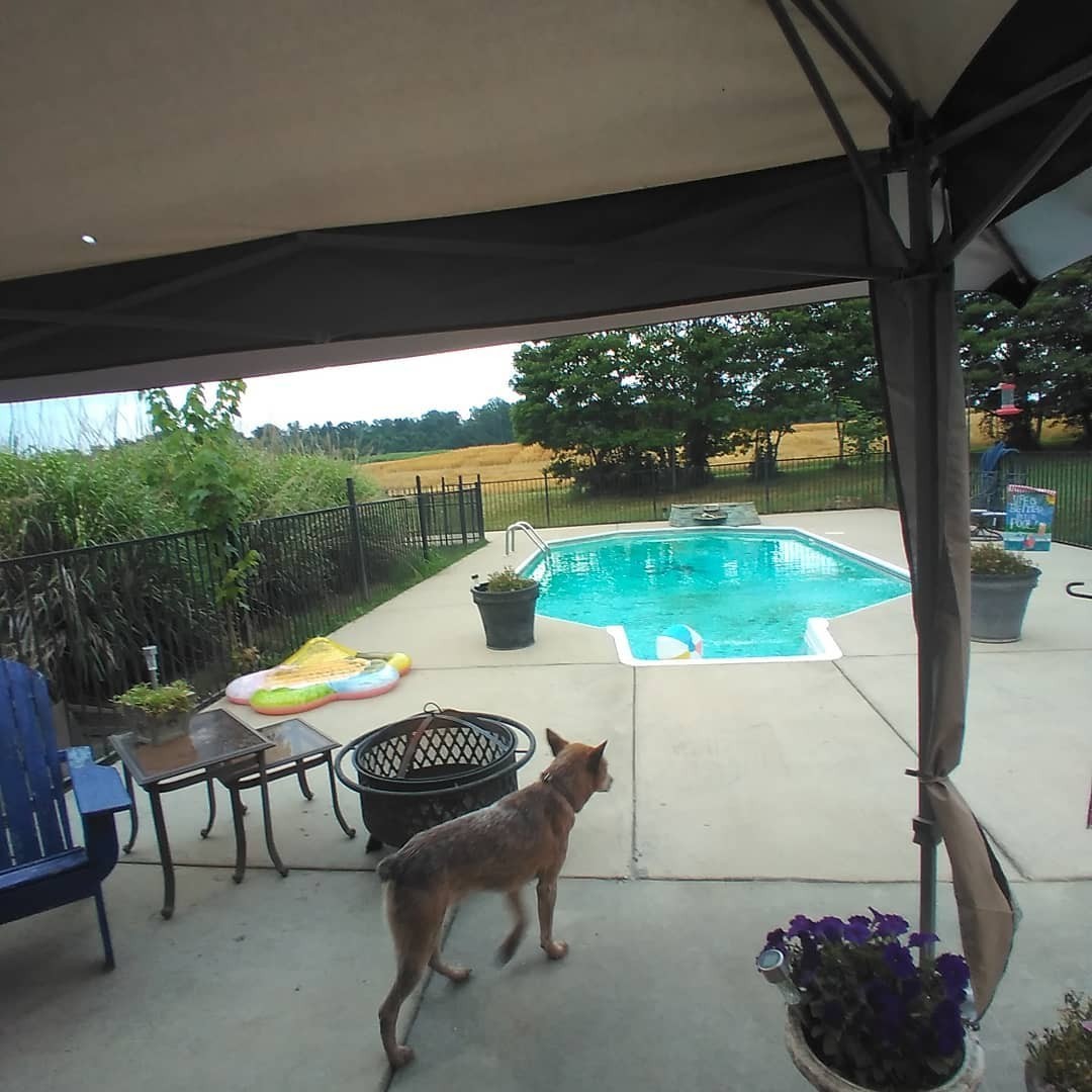 6197 H B Lee Road Springfield, TN 37172 - Photo 47 of 60 a view of a patio with table and chairs potted plants with floor to ceiling window